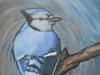 fake jay