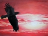 sunbird