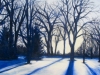blue forest