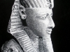 egyptian