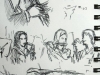 orchestra
